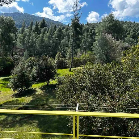 Christinas Pineforest Dom wakacyjny *