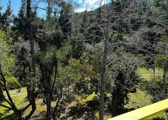 Hébergement de vacances Christinas Pineforest *