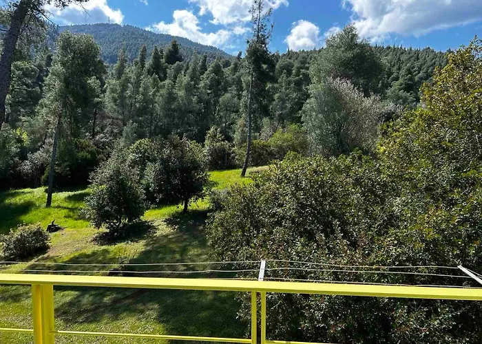 Christinas Pineforest Hébergement de vacances *