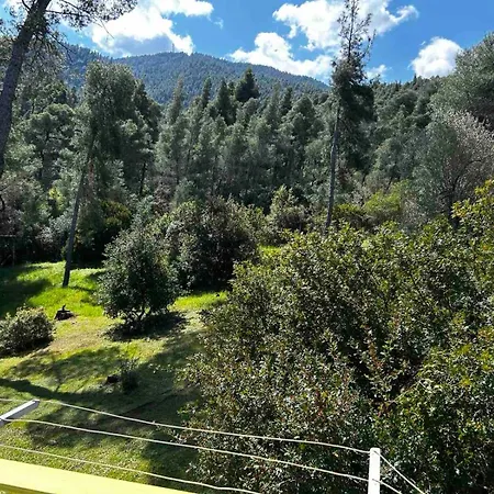 Σπίτι διακοπών Christinas Pineforest Βουρβουρού