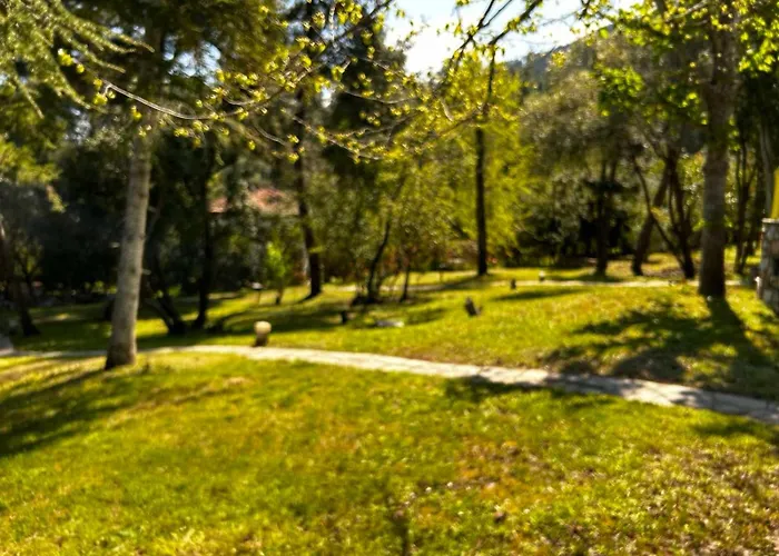 Christinas Pineforest