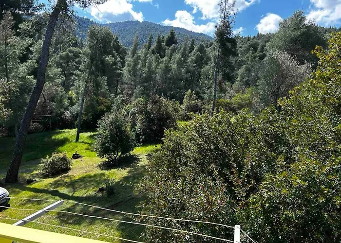 Holiday home Christinas Pineforest Vourvourou