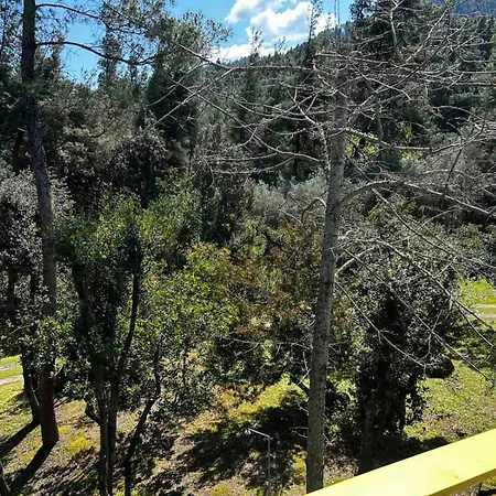 בית נופש Christinas Pineforest *